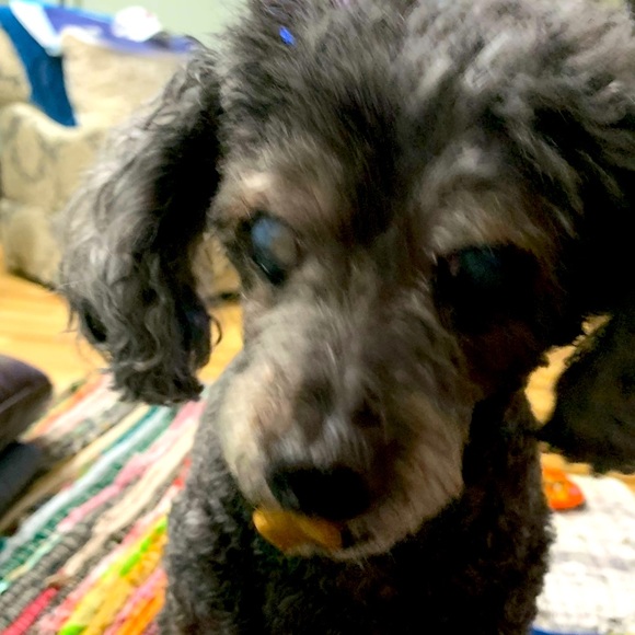 📺Live Unlisted Items - Picture 2 of 3